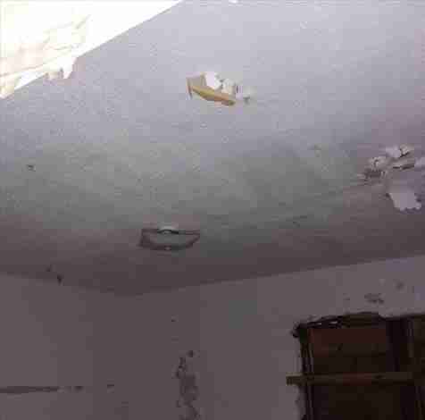 4200156_0018 (2).jpg